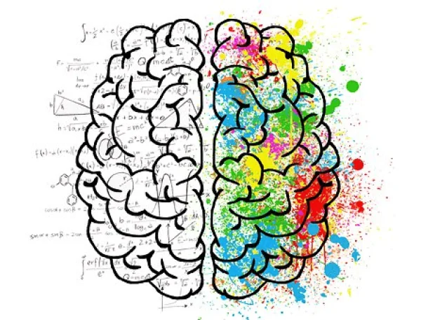 Can vitamins help brain function?