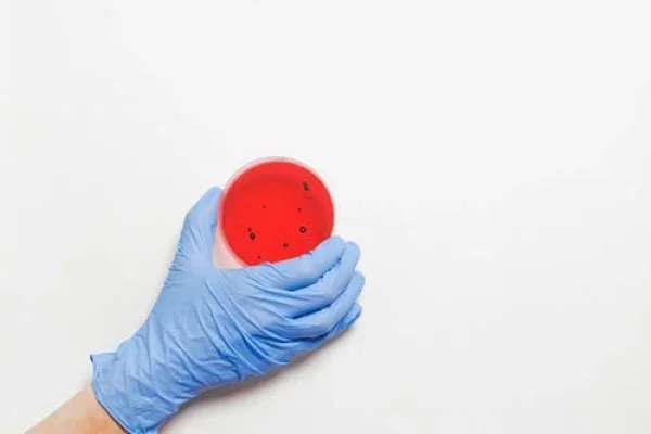 Five best supplements to boost your immune system during coronavirus pandemic