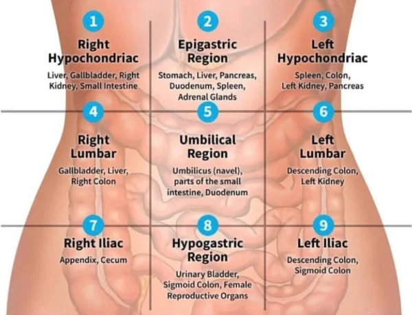 How to do self-abdominal massage for bloating and constipation