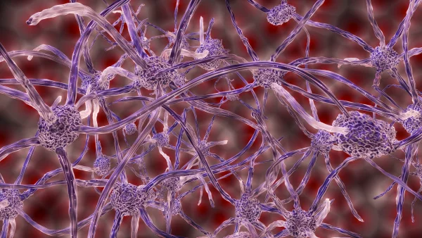 Nerve pain and nutrition