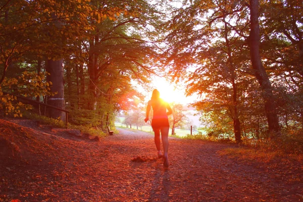 The Autumn Gait Check: How Changing Your Footwear & Terrain Impacts Joint Health